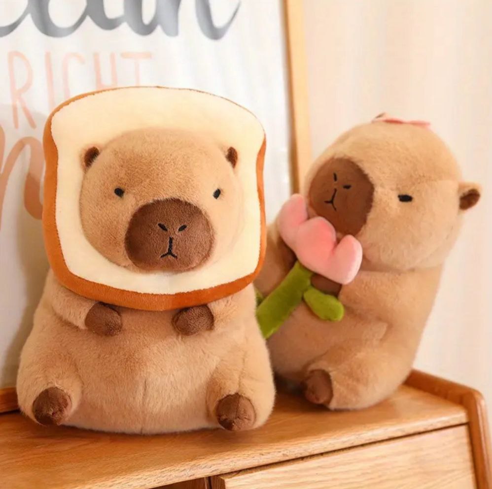 Capybara / Plush