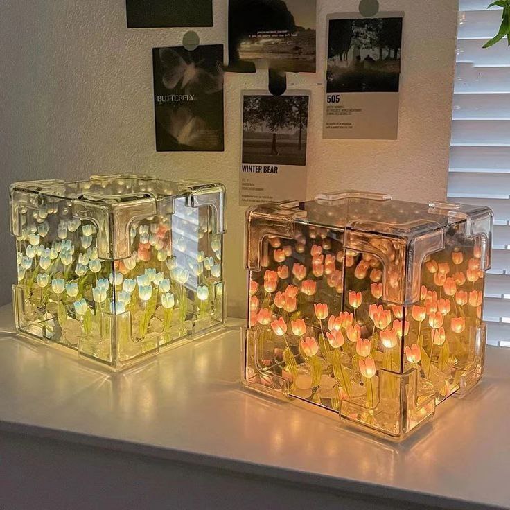 Tulip Cube / Lamp