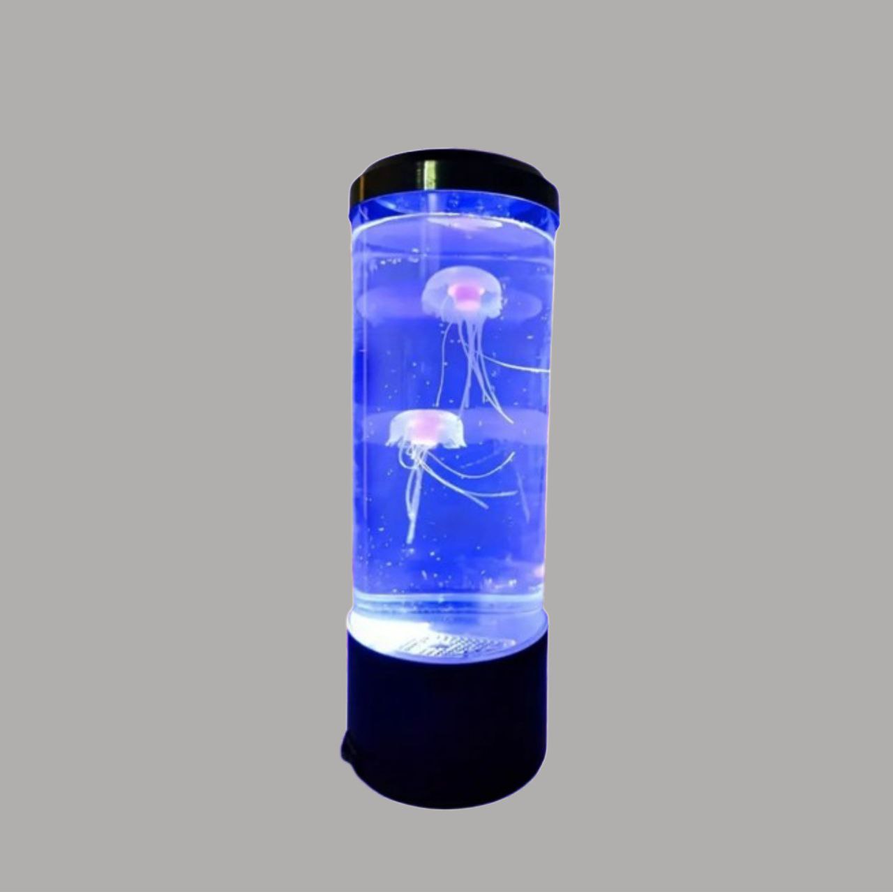 Jellyfish / Lamp